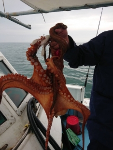 汐音丸 熊本 三角東港 つりー