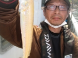 加古川市 中島さん 良型キス24cm!!