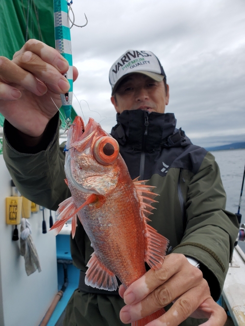 鈴竹丸 静岡 沼津港 つりー