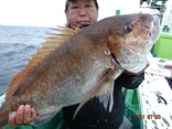 大鯛　７．３ｋｇ