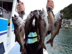S*様 海釣り まとめ売り 南港魚つり園にやってきました❗️ サビキで豆〜小アジ