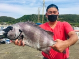 イシダイ3kg