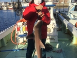 100cm、5､2kgのサメ