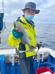 フィッシングボート清和丸 徳島 橘西港 つりー