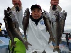 聡丸（千葉 太海港）｜つりー