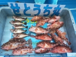 竿頭さんの釣果