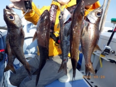 聡丸（千葉 太海港）｜つりー