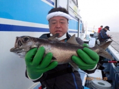 聡丸（千葉 太海港）｜つりー