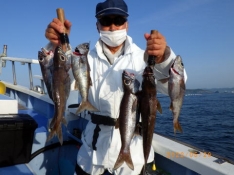 聡丸（千葉 太海港）｜つりー