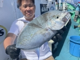 色々な魚が釣れます‼️