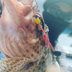 正徳丸 鹿児島 高須港 つりー