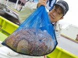 昨日のボリューム一番の方