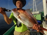 中鯛2.5kg