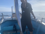 太刀魚