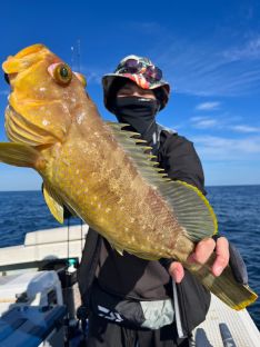 fisherman様 度々ご紹介しているフィッシャーマンセーター！ 何度もご紹介したく