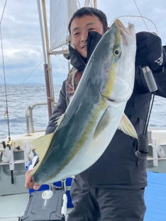 ブリ｜魚図鑑｜つりー