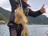 上田さんのイカダ釣りでの釣果です。