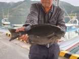 佐藤さんの磯釣りでの釣果です。