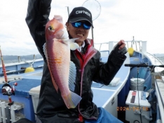 聡丸（千葉 太海港）｜つりー