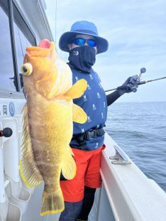 TRIDENT fisherman（福岡 姪浜港）｜つりー