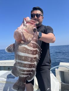 TRIDENT fisherman（福岡 姪浜港）｜つりー