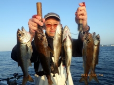 聡丸（千葉 太海港）｜つりー