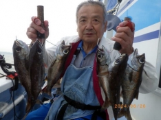 聡丸（千葉 太海港）｜つりー