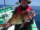 中鯛3kg