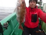 中鯛2.7kg