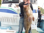茶色マルハタ　14㎏