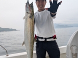 広島サワラ