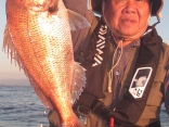 真鯛53ｃｍ