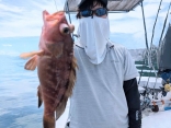 広島タイラバ・アコラバ