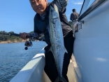 広島ライトジギング