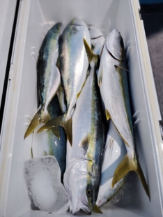 幸丸（福井 鷹巣）｜つりー