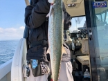 岩国沖ブレードジギング