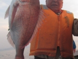 真鯛55ｃｍ、