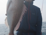真鯛53ｃｍ