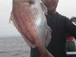 真鯛54ｃｍ