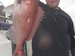 真鯛66ｃｍ